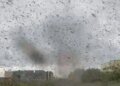 Жужжащий апокалипсис: небо над Тузловскими лиманами почернело от насекомых
