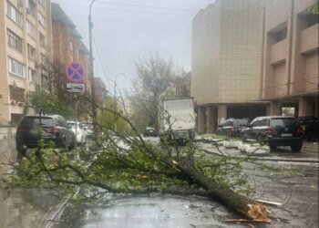 Негода накрила Київ та область: у соцмережах повідомляють про повалений 150-річний каштан та пошкоджений дах