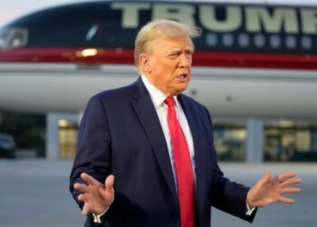 Миротворец на проводе: как Трамп борется с «безумной ненавистью» Зеленского и Путина