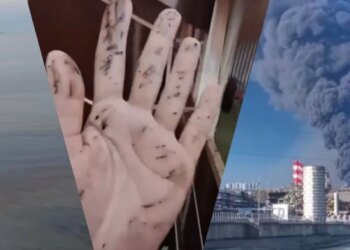 Нефтяное пятно от Туапсе ползет в сторону дворца Путина в Геленджике. ВИДЕО