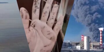 Нефтяное пятно от Туапсе ползет в сторону дворца Путина в Геленджике. ВИДЕО