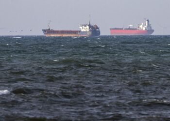 У Зеленского отреагировали на конфискацию судна с украинским зерном в Швеции