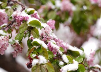 Квітневі “мінуси”: у Києві оголосили жовтий рівень небезпеки