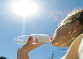 Кліматична паніка: що кажуть синоптики про літо у Києві