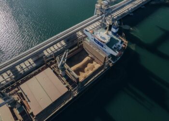 Экспорт продовольствия: как инвестиции в украинскую переработку откроют рынки Африки