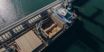 Экспорт продовольствия: как инвестиции в украинскую переработку откроют рынки Африки