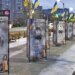 Квіти з Алеї Героїв: на Київщині затримали крадія