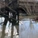Річка Буча на межі екологічної катастрофи: на Київщині заявили про критичне забруднення