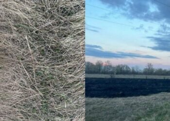 Гучна “розвага” з наслідками: на Київщині затримали хулігана