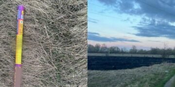 Гучна “розвага” з наслідками: на Київщині затримали хулігана