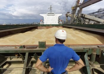 Украина просит Израиль о правовой помощи по судну с краденым зерном, – источники