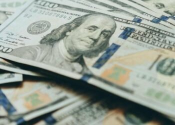 Шахрайство на пів мільйона: киянина повернули в Україну з Німеччини