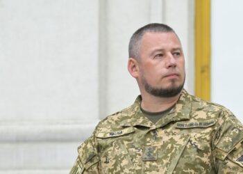 Палиса раскрыл преимущество Украины над РФ в ударных дронах