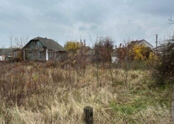 Пісок поза законом: гучна справа про екозбитки на Київщині