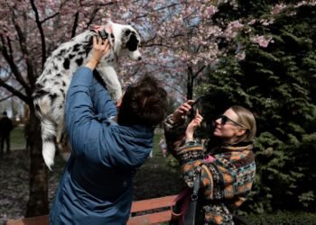 Погода существенно не изменится, но немного потеплеет: прогноз в Украине на неделю (карты)