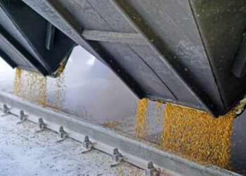 Израильский импортер отказался от ворованного зерна из-за угрозы санкций, – СМИ