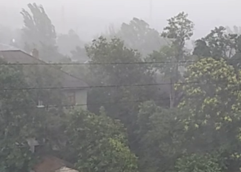 Повалені дерева й відключення світла: Київ у зоні метеорологічної небезпеки