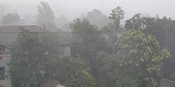 Повалені дерева й відключення світла: Київ у зоні метеорологічної небезпеки