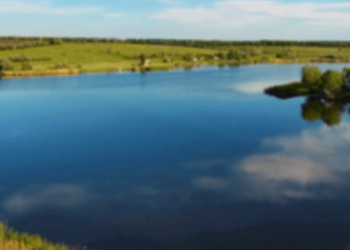 Зупинка серця на дні водойми Київщини: рятувальники винесли утопленицю, – ФОТО