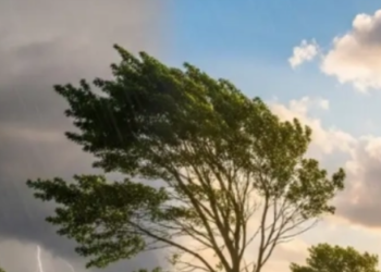 Природна аномалія над Києвом і областю: застереження синоптиків