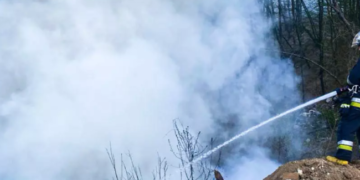 Димова загроза для Київщини: що горіло, – ФОТО