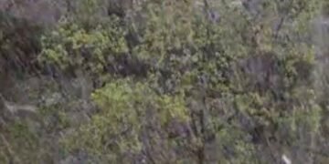 Стихія атакує Київ: грім, блискавки і шквальний вітер паралізують місто