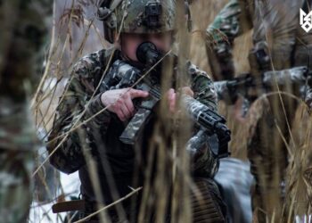 Куса: Многовекторность провалилась, Украине нужна новая модель безопасности