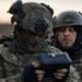 Новый рекорд в небе: дроны-перехватчики Украины удвоили эффективность в марте