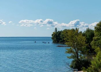 Риболовлю обмежать: що зміниться для жителів Київщини