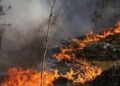 Київ може накрити димом із зони відчуження: чи є небезпека радіації