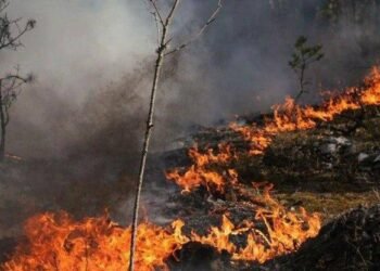 Київ може накрити димом із зони відчуження: чи є небезпека радіації