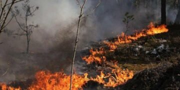 Київ може накрити димом із зони відчуження: чи є небезпека радіації