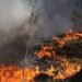 Київ може накрити димом із зони відчуження: чи є небезпека радіації
