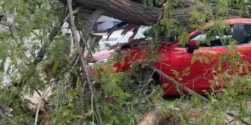 Шквальний вітер у столиці вже нищить авто: перші наслідки негоди в Києві