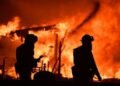 Полум’я знищувало цехи з усіх боків: під Києвом спалахнула велика промислова пожежа