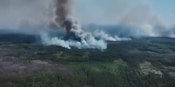 Війська рф масово підпалюють прикордонні ліси України та нищать вежі спостереження, відео