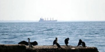 Из трюма в кузов: как блокада Ормузского пролива заставила судоходные  гиганты пересесть на грузовики