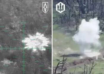 Украинские бойцы сорвали наступательные действия врага в трёх областях: поражена пехота. ВИДЕО