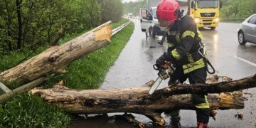 Из-за сильного ветра в Украине поваленные деревья затруднили движение транспорта. ФОТО
