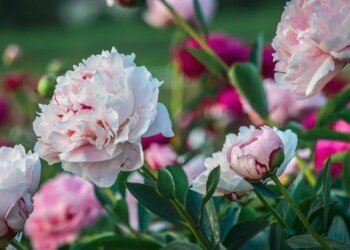 Куди піти у Києві на вихідних 23-24 травня