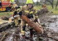Непогода в Украине: ГСЧС ликвидирует последствия в шести регионах. ФОТО