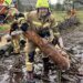 Непогода в Украине: ГСЧС ликвидирует последствия в шести регионах. ФОТО