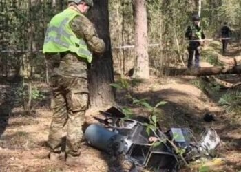 Ліс біля столиці перетворився на зону ризику: що виявили під Києвом, – ФОТО, ВІДЕО