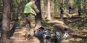 Ліс біля столиці перетворився на зону ризику: що виявили під Києвом, – ФОТО, ВІДЕО
