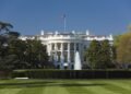 У Трампа начали строить арену для турнира UFC у Белого дома