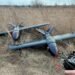 Сотрудничество с США по дронам: какими путями украинские разработчики заходят на рынок