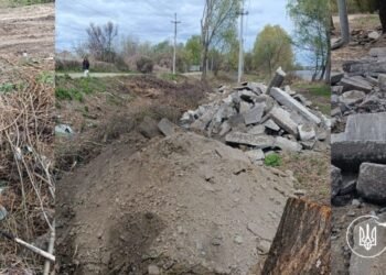 Засипали бетоном і нищили дерева: у Києві  зафіксували екологічний злочин