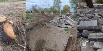 Засипали бетоном і нищили дерева: у Києві  зафіксували екологічний злочин