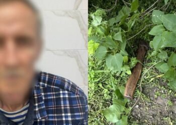Жах на Київщині: брат жорстоко напав на сестру з сокирою