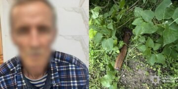 Жах на Київщині: брат жорстоко напав на сестру з сокирою